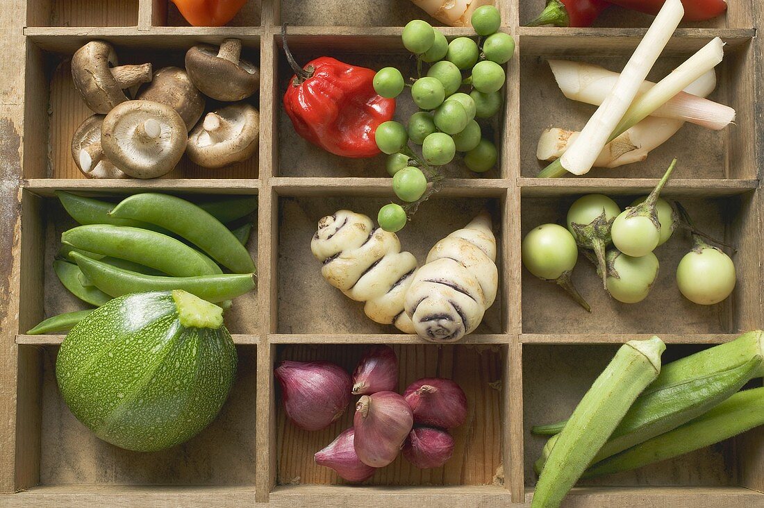 Various types of vegetables, spices & mushrooms in type case