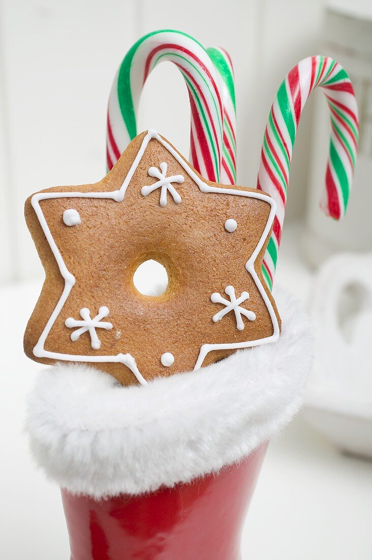 Lebkuchenstern und Zuckerstangen in rotem Gummistiefel