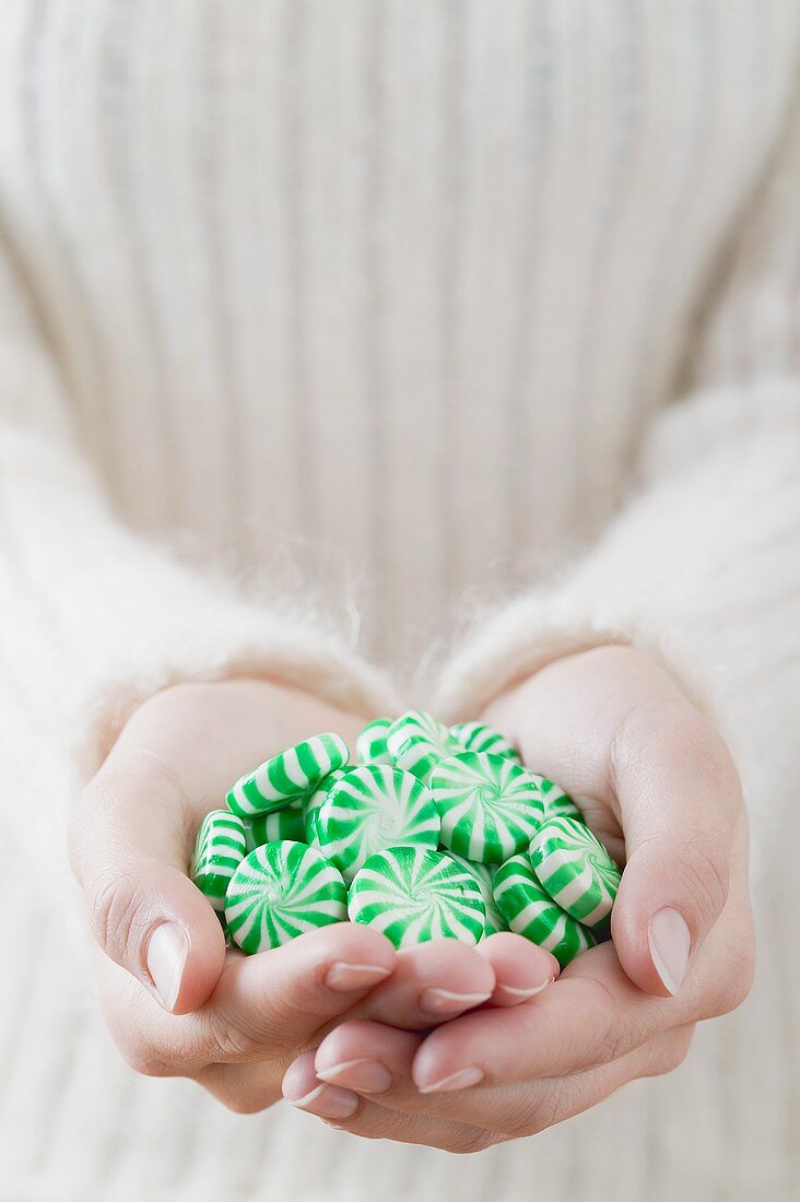 Hands holding green and white striped peppermints