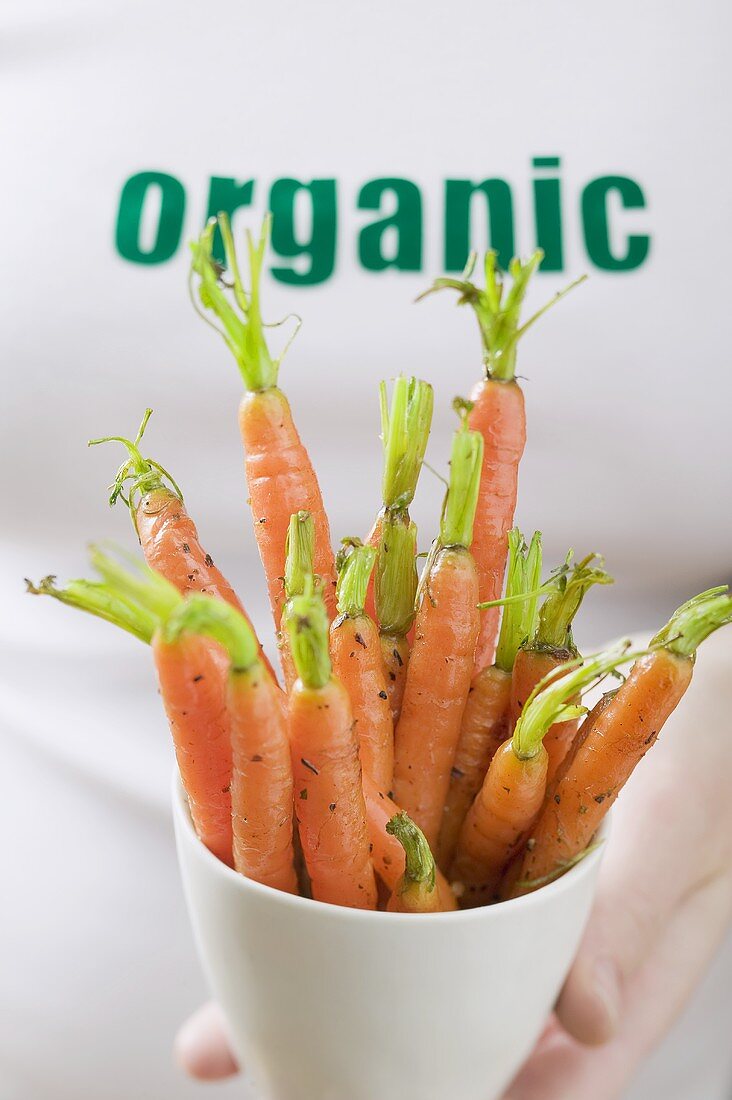 Woman holding fresh carrots in basin