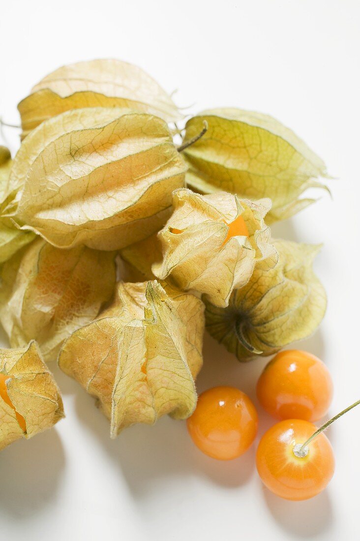 Several physalis with and without husk