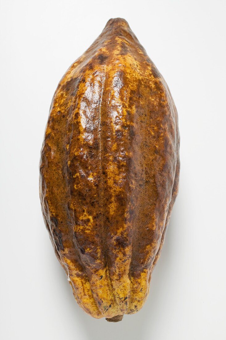Eine Kakaofrucht