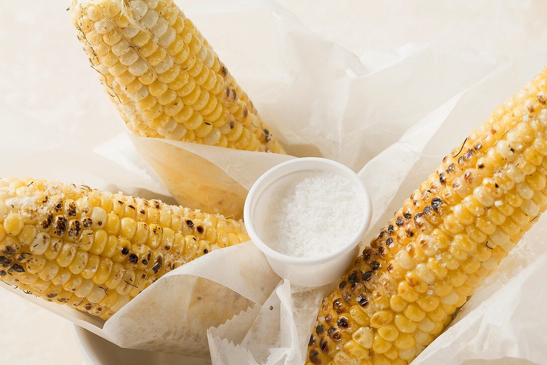 Grilled corn on the cob with salt in greaseproof paper