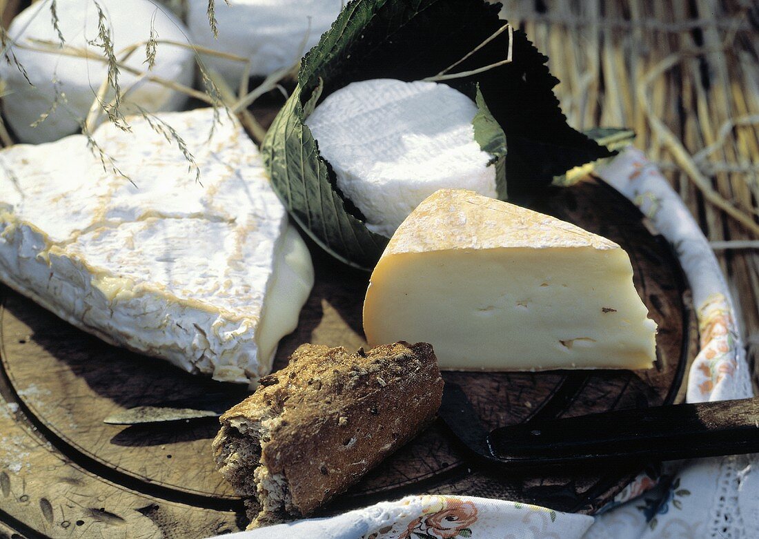 Ziegenkäse; Hermannsdorfer Camembert; Brot