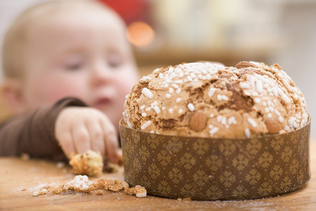 Baby reaching for almond cake