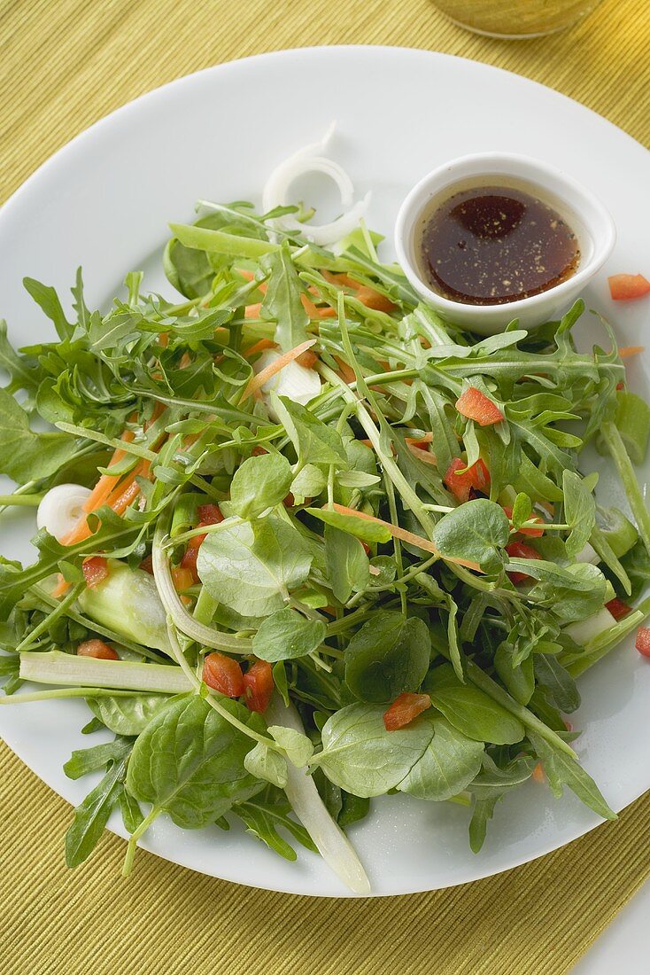 Gemischter Blattsalat mit Balsamicodressing