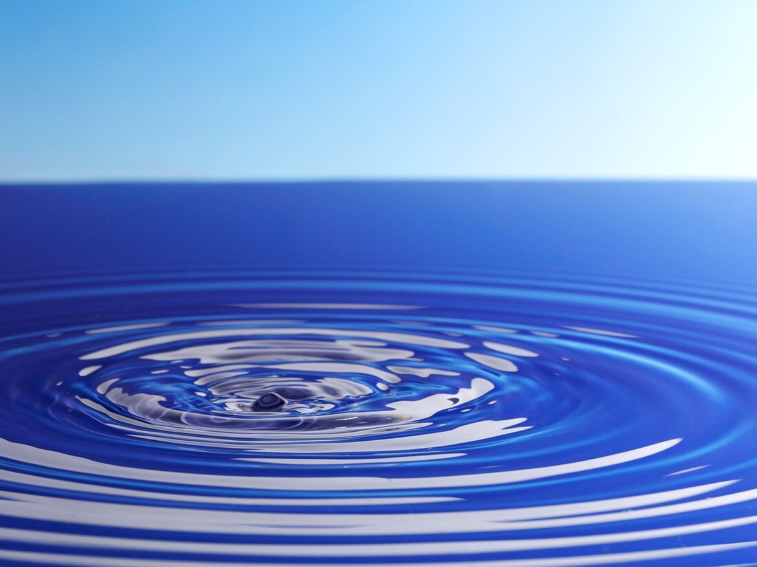 Concentric ripples in water