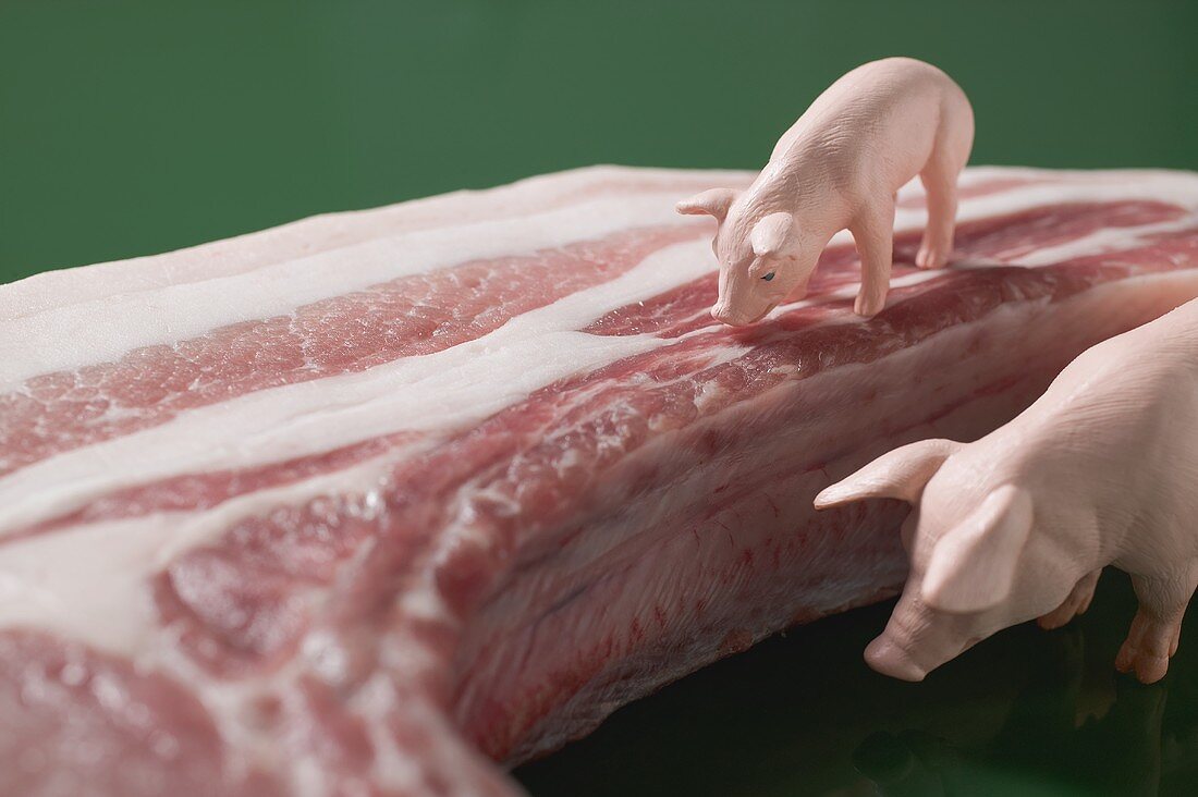 Miniaturschweine und Bio-Schweinekotelett