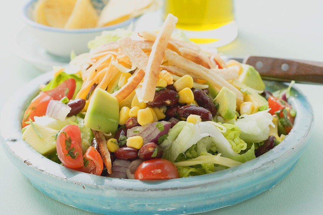 Mexican salad with tortilla strips