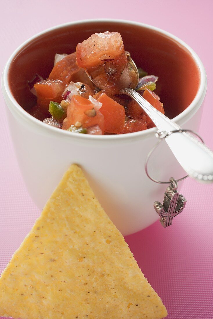 Tomato salsa in pot with spoon, nacho beside it (Mexico)