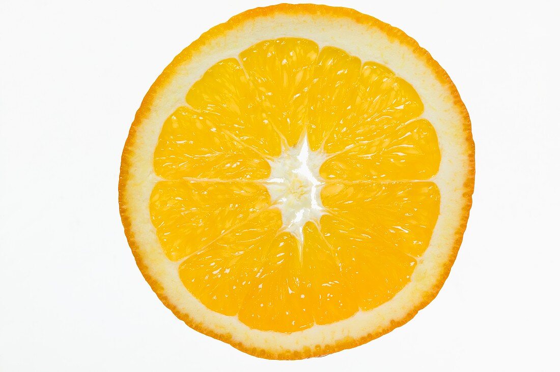 Orangenscheibe, durchleuchtet