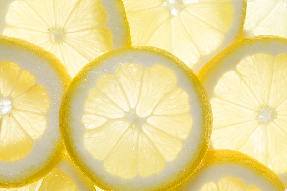 Mehrere Zitronenscheiben (durchleuchtet)