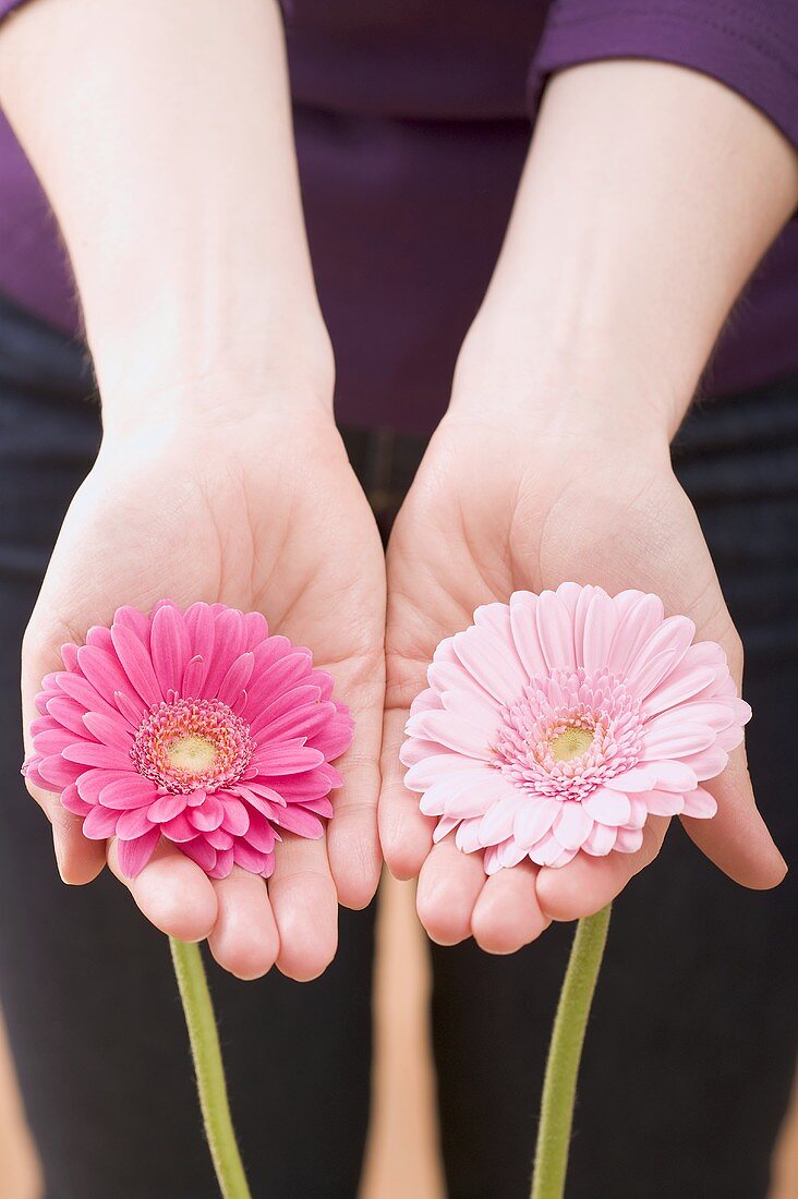 Frau hält zwei Gerbera in ausgestreckten Händen