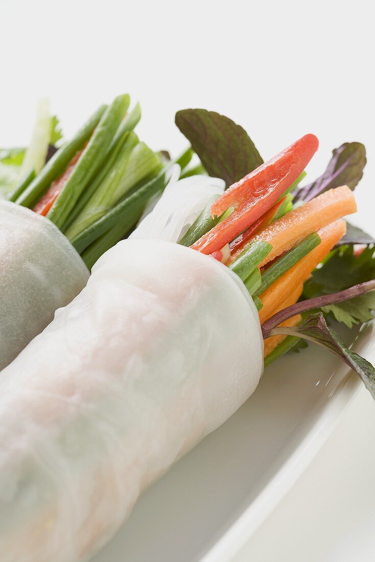 Reispapierröllchen mit Gemüse, Glasnudeln und Kräutern