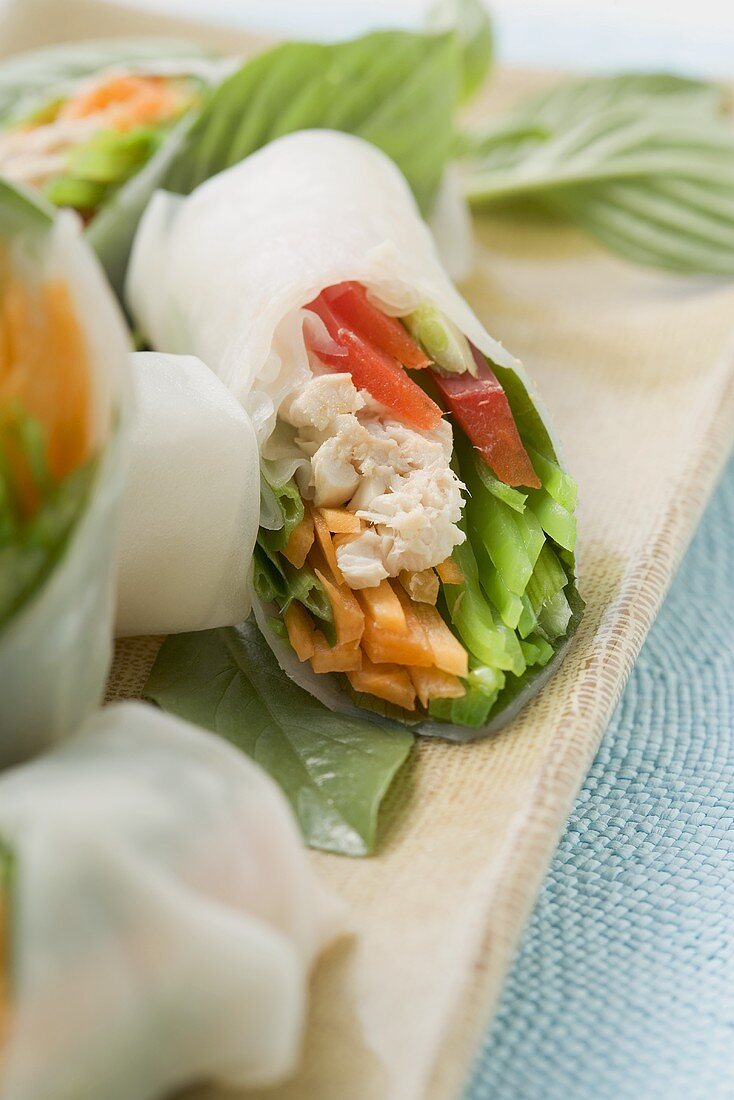 Rice paper rolls filled with chicken and vegetables (Asia)