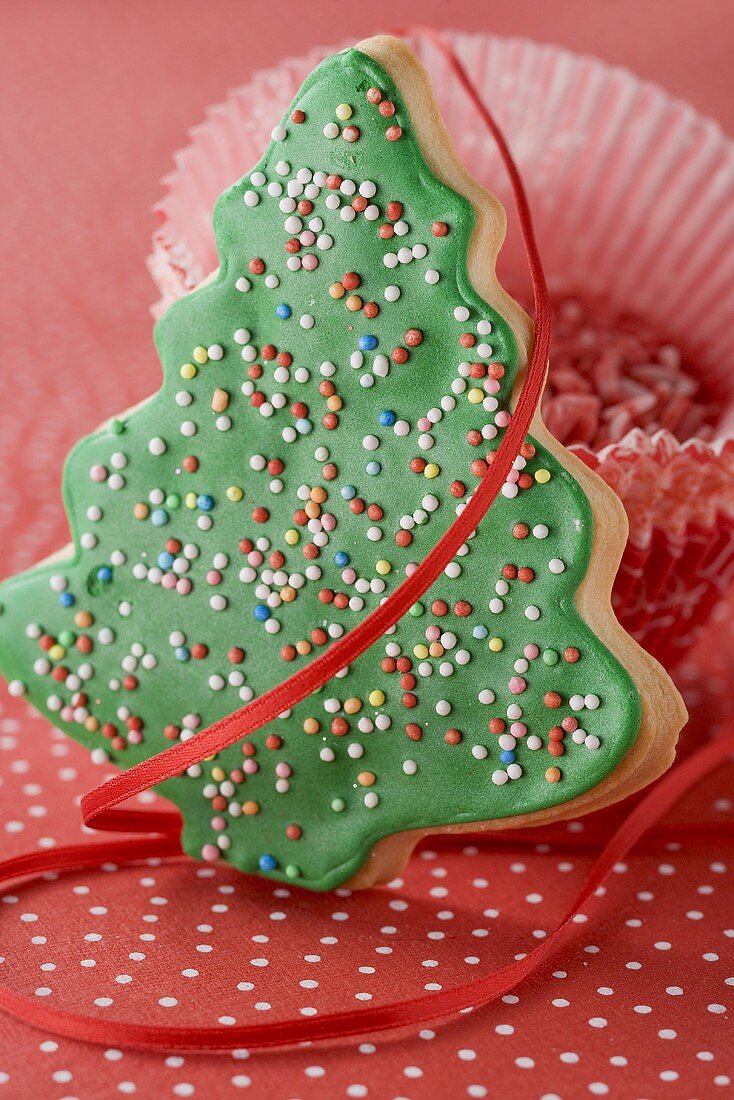 Christmas tree biscuit