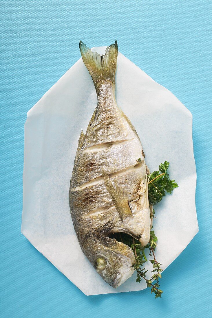 Whole fried sea bream on paper