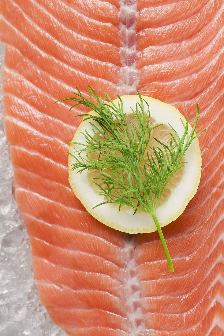 Salmon fillet with lemon and dill on ice