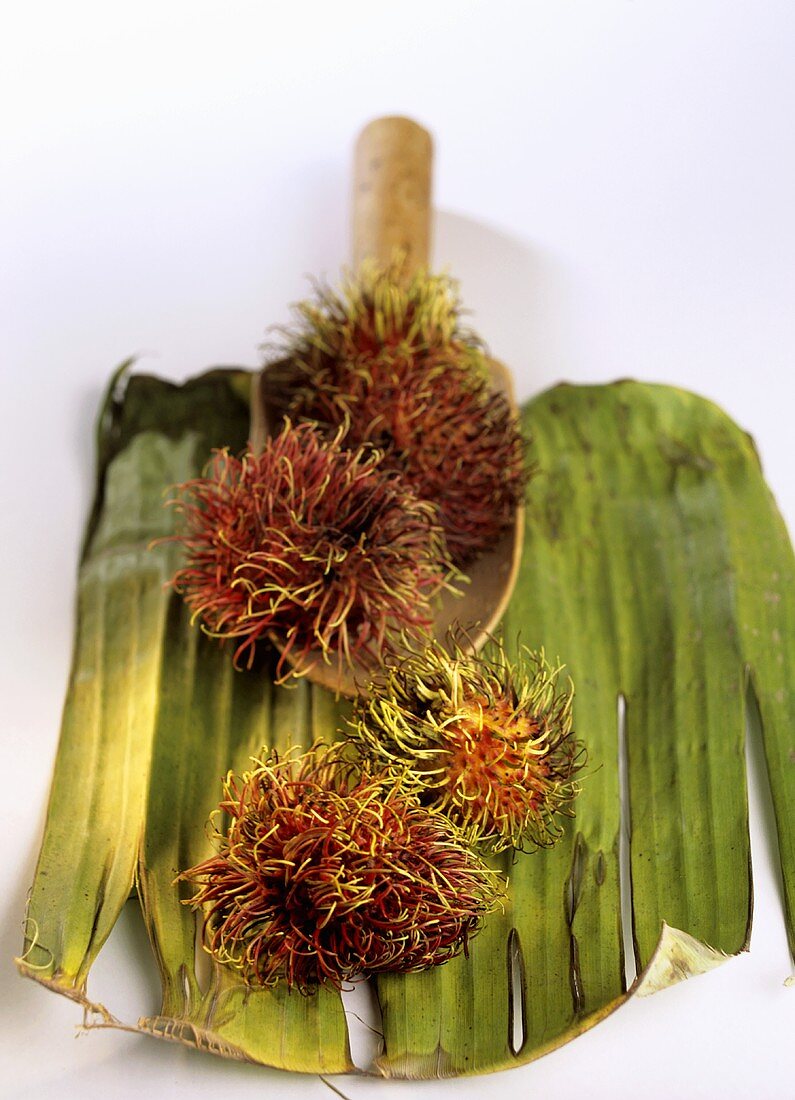 Mehrere Rambutan mit Holzschaufel auf Blatt