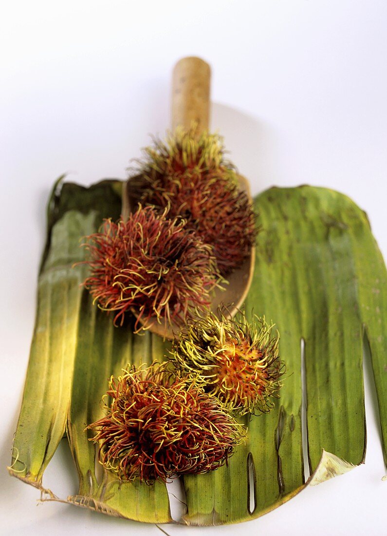 Several rambutans with wooden scoop on leaf