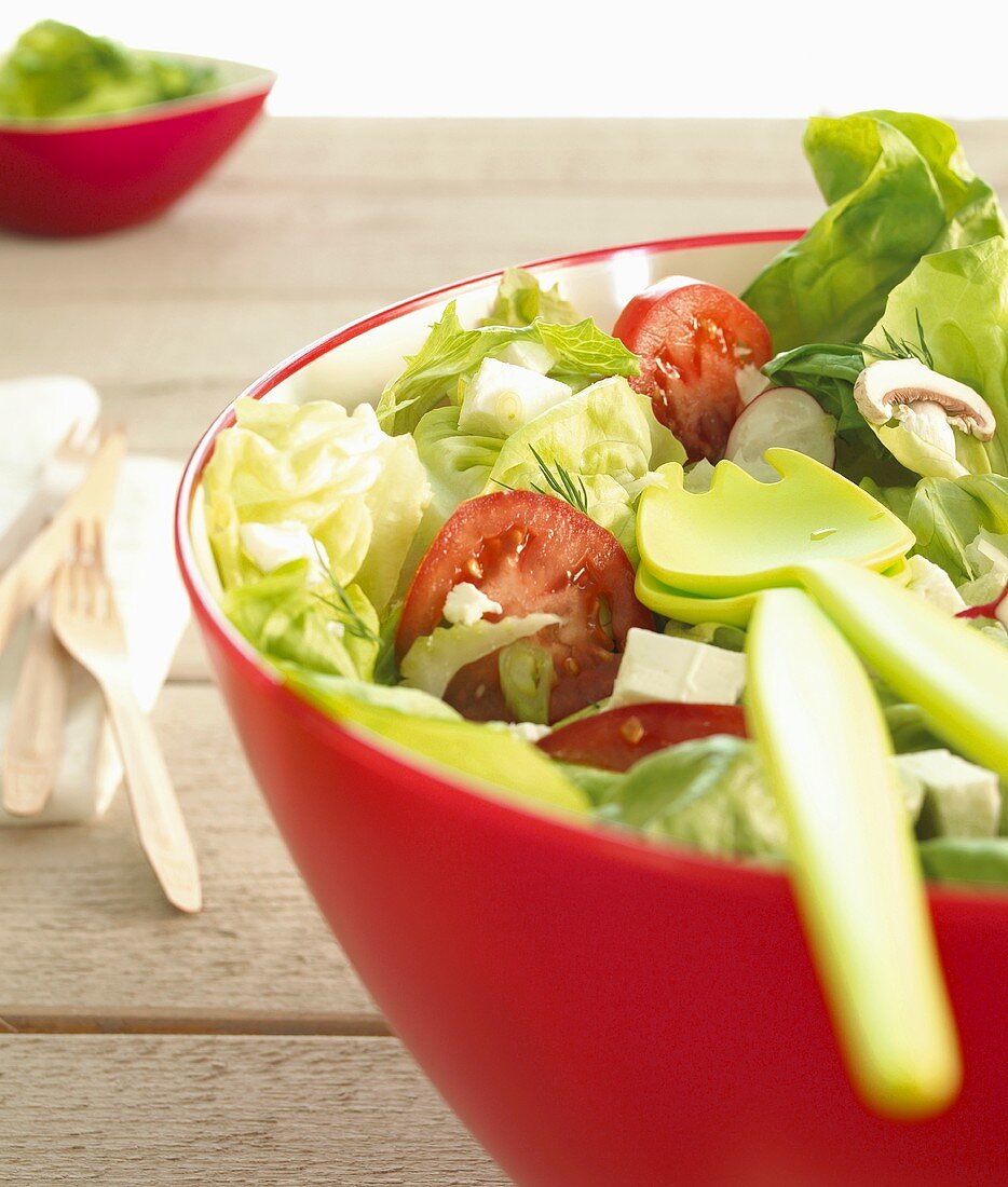 Kopfsalat mit Tomaten, Radieschen, Champignons