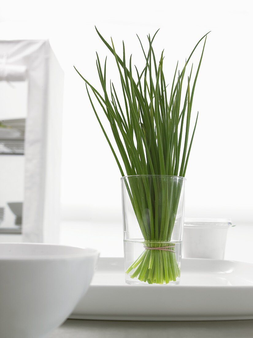 Fresh chives in a glass of water