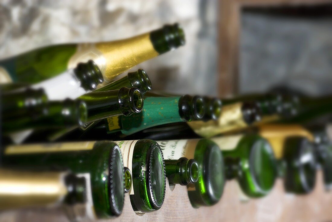 Sparkling wine bottles in wine rack