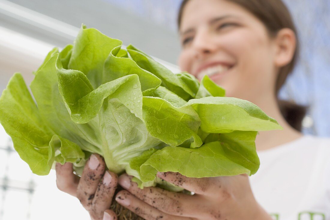 Young woman holding fresh lettuce from the garden