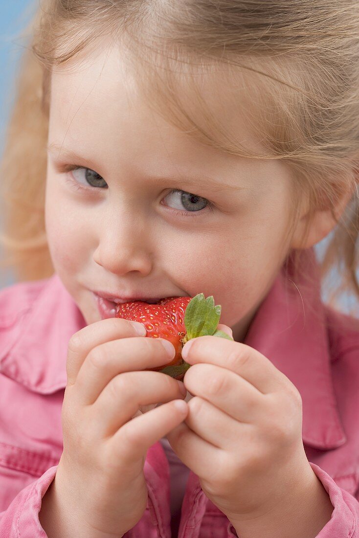 Little girl eating strawberry