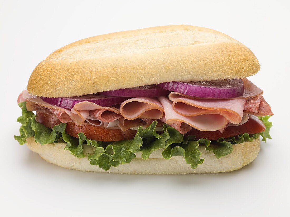 Ham, salami, onion, tomato and lettuce sandwich