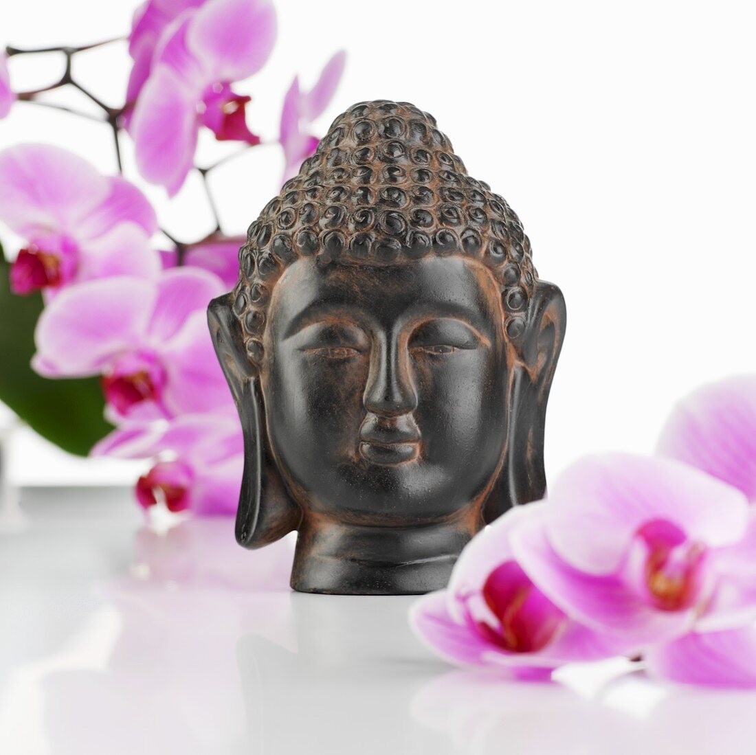 Buddhakopf mit Orchideen