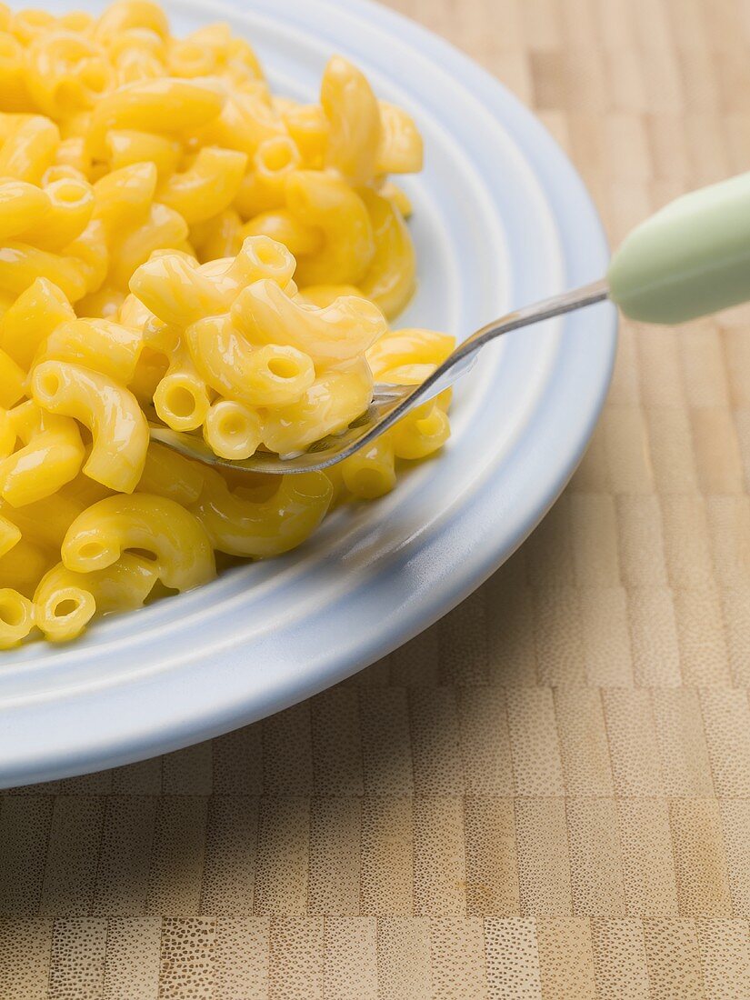 Macaroni and cheese on blue plate with fork (USA)