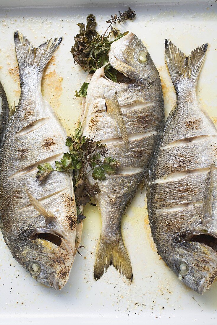 Roasted sea bream with parsley (overhead view)
