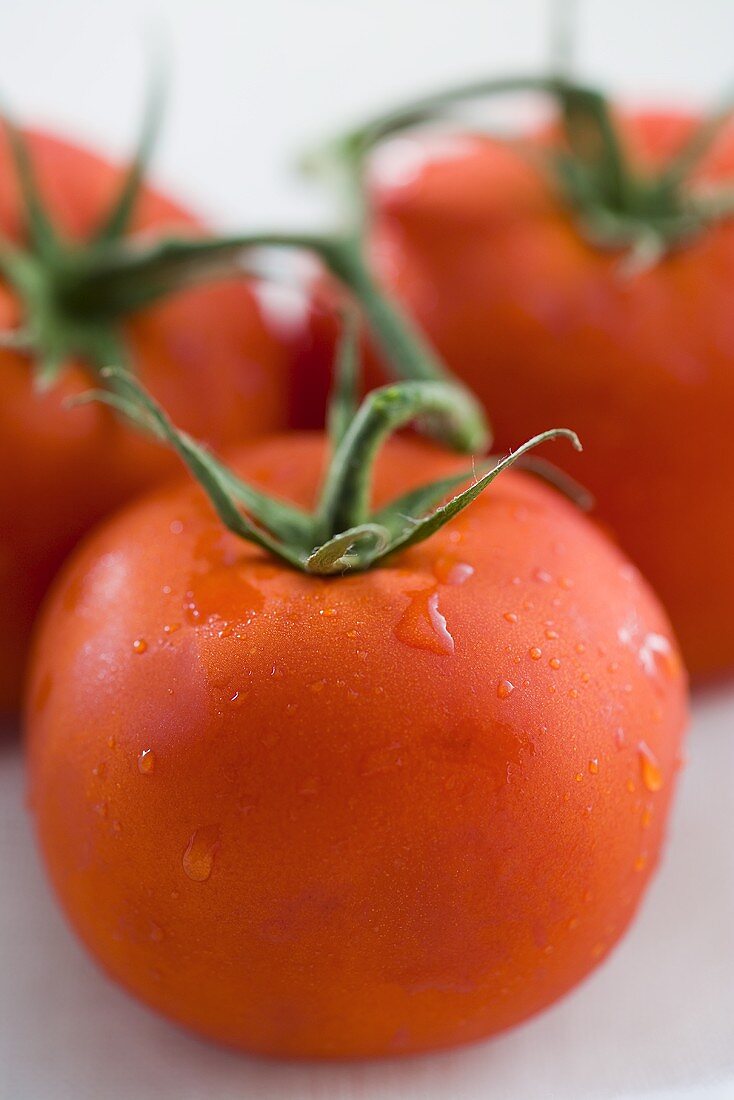 Tomatoes on the vine with drops of water