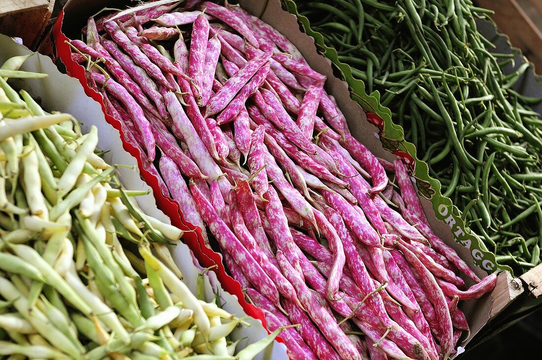 Different types of beans in boxes on a market stall