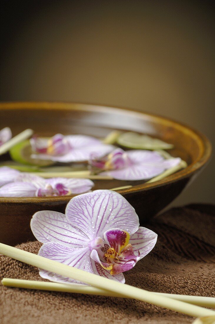 Holzschale mit Wasser, Orchideenblüten und Zitronengras