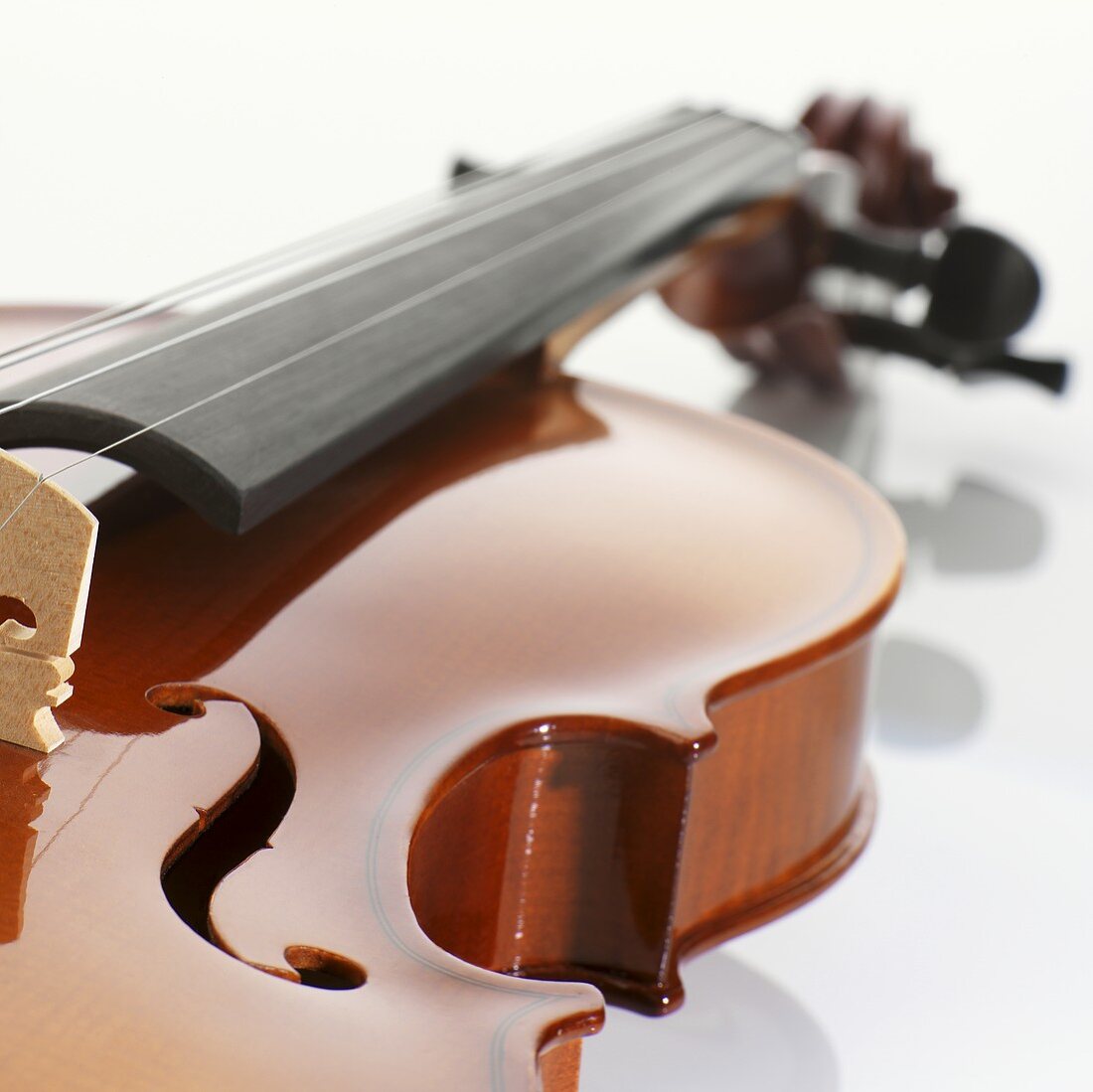 Violin (detail)