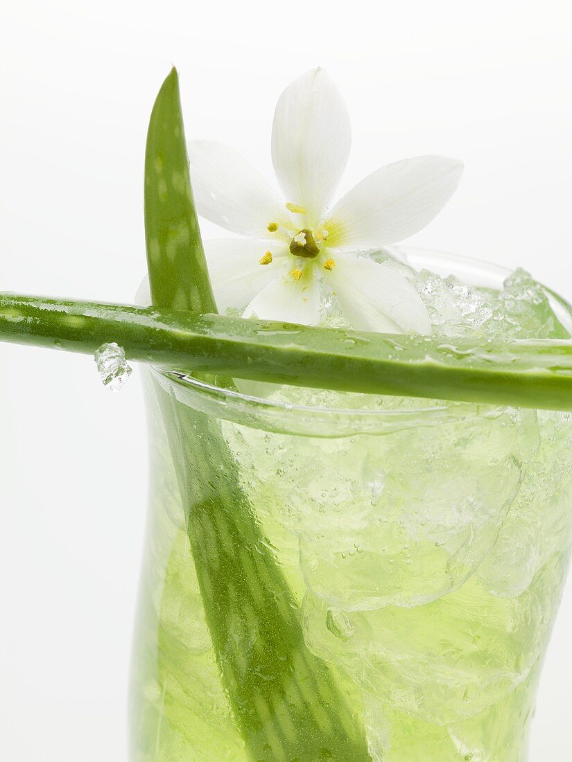 Aloe vera juice with ice cubes (close-up)