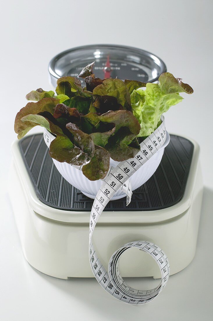 Bowl of lettuce with tape measure on scales