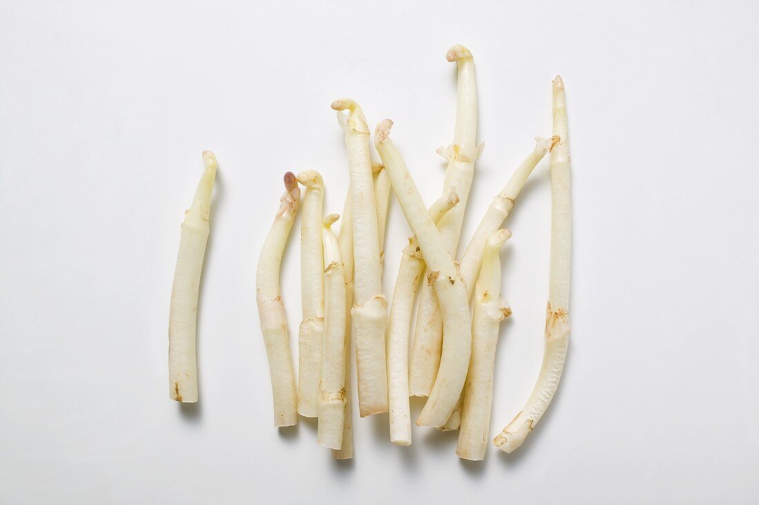 Fresh white asparagus