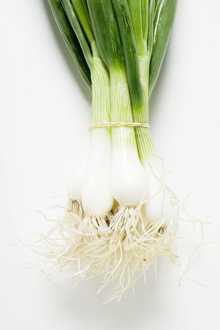 A bunch of spring onions