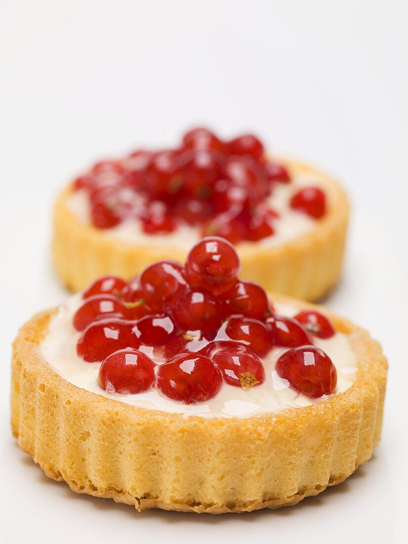 Two individual redcurrant flans with custard filling