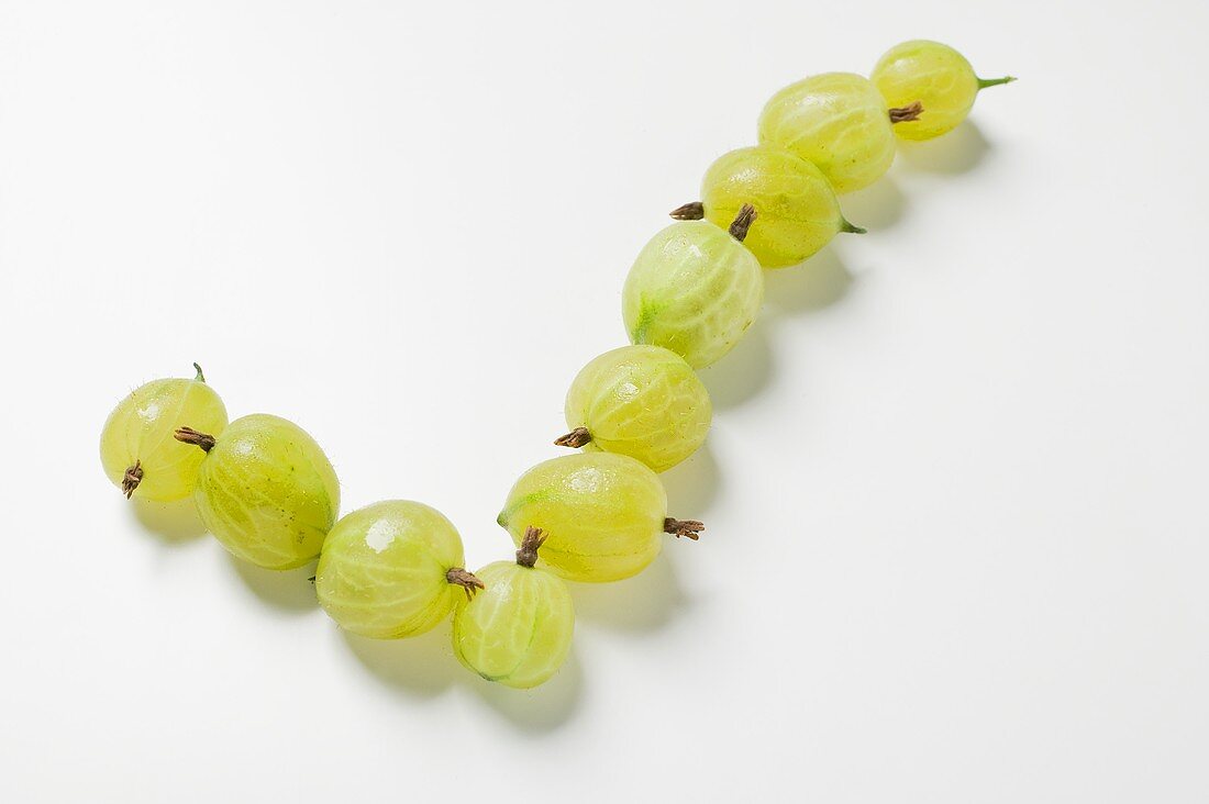 Gooseberries forming a tick