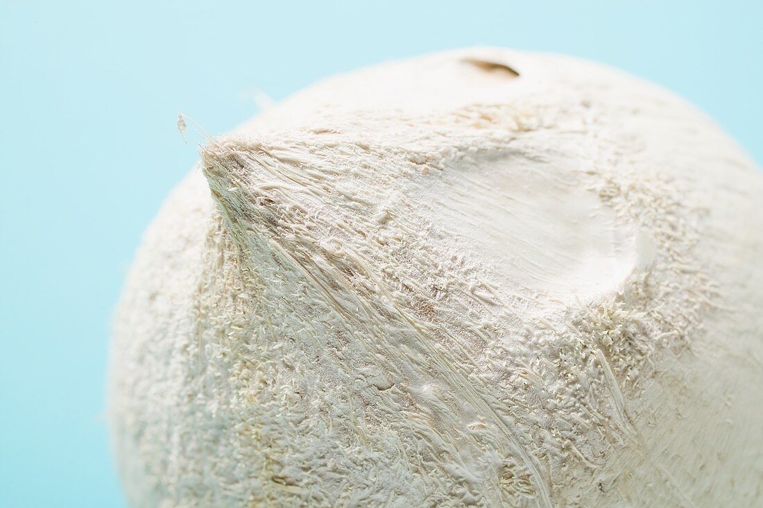 Shelled coconut (close-up)