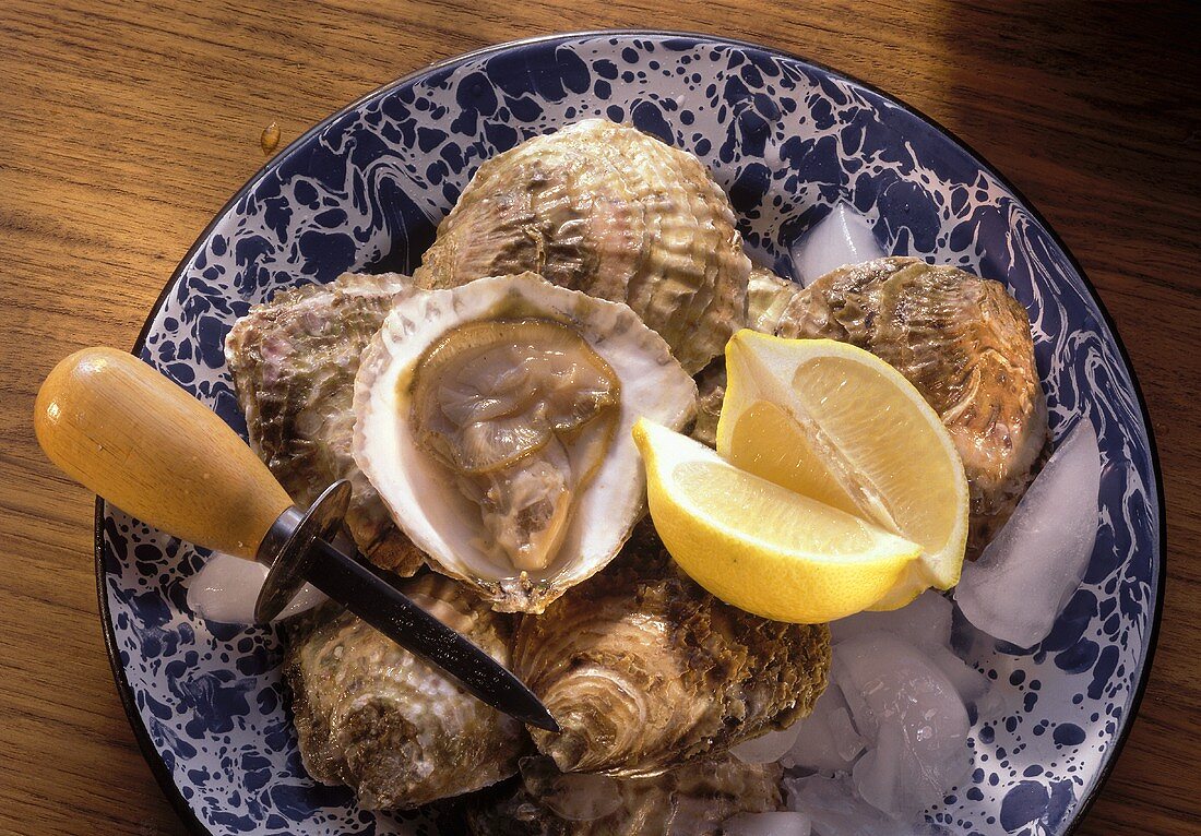 Oysters on Ice with Lemons; Oyster Knife