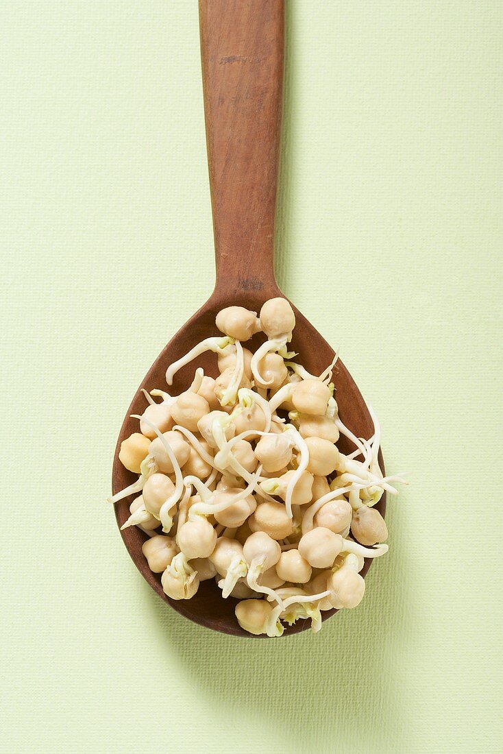 Chick-pea sprouts on wooden spoon (overhead view)