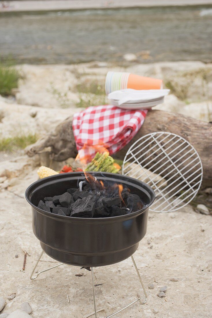 Barbecue by a river