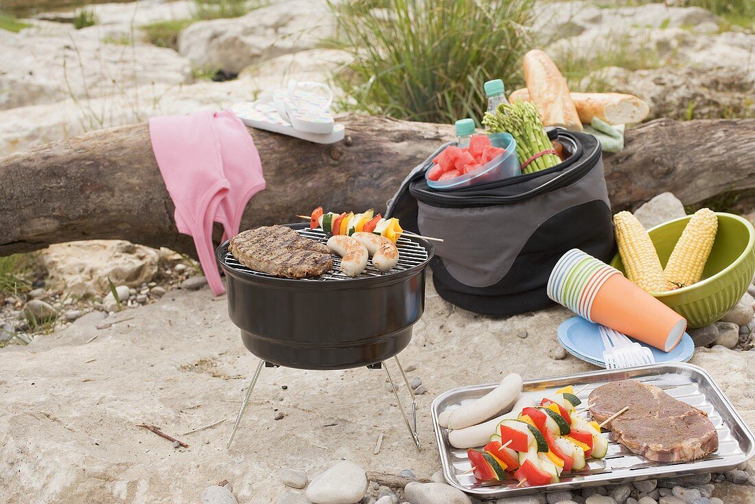 Barbecue on a river bank