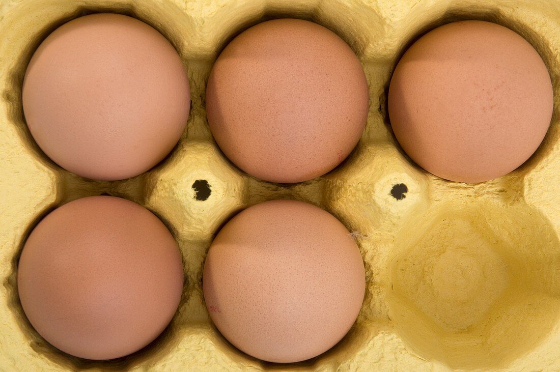 Fünf Eier im Eierkarton (Draufsicht)