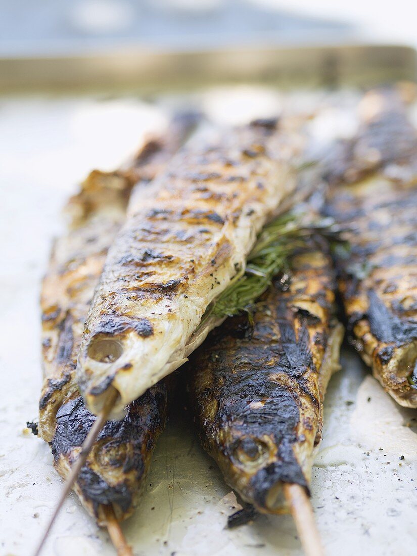 Grilled trout